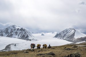 trekking en mongolia